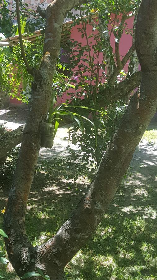 Pousada Grafite Trancoso Dış mekan fotoğraf